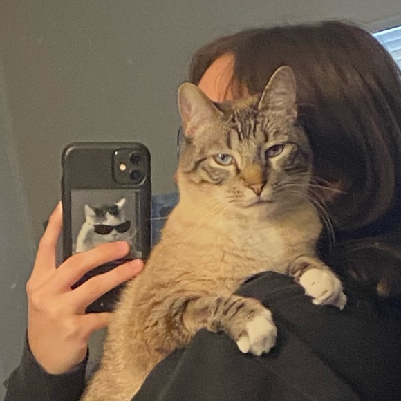 Profile Picture of Savannah Espirito (@savitibles) on Poshmark