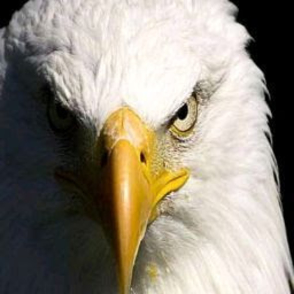 Profile Picture of Carlos Lindo (@carlos_lindo) on Poshmark