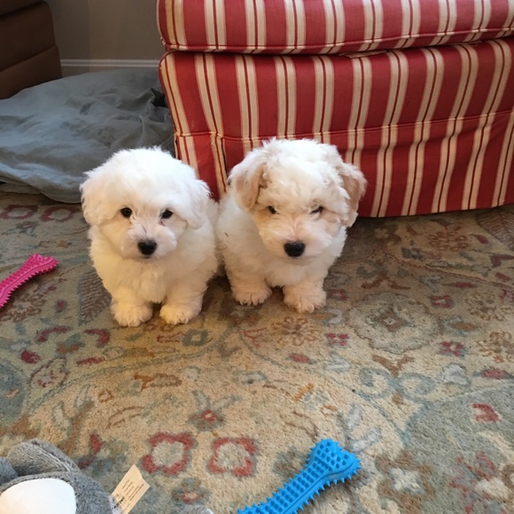 Profile Picture of Nancy Gerstmyer (@nancygerstmyer) on Poshmark