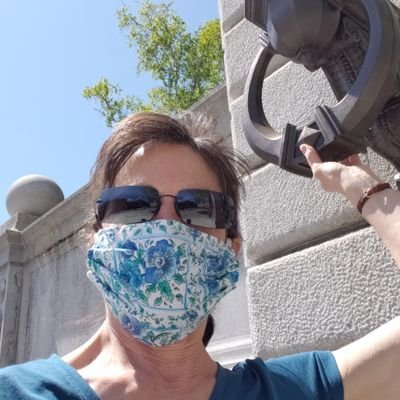 Profile Picture of Hon. Suzanne Vail (@SuzanneVailNH) on Twitter