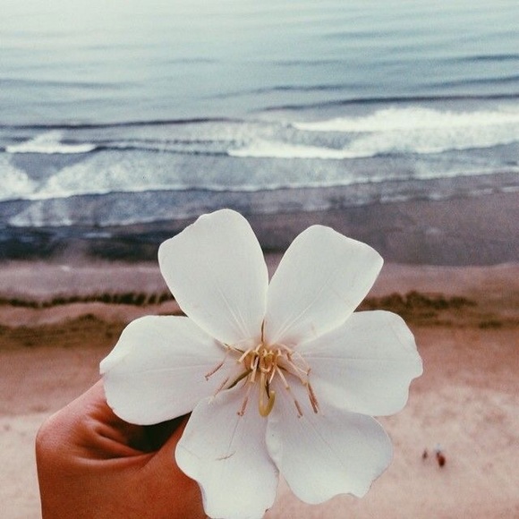 Victoria Ashby - Poshmark Profile Picture of Victoria Ashby (@victoriaashby) on Poshmark