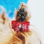 Profile Picture of BENJAMIN LEAR (@benjamin_york_) on Instagram