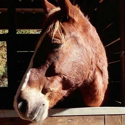 Profile Picture of Joel Valenti (@valenti_joel) on Twitter