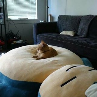 Profile Picture of Pak  Soyoug (@pak.soyoug) on Facebook