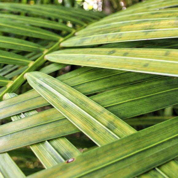 Profile Picture of Madison Santmyer (@madisonsantmyer) on Poshmark