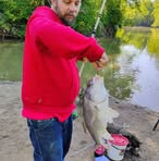 Profile Picture of Fred Bobb (@Fred-Bobb) on Facebook