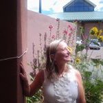 Profile Picture of Liz Webster (@webster_liz) on Instagram