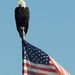 Profile Picture of Barry Suggs (@baree74) on Pinterest