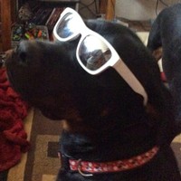 Profile Picture of Hunter Stevenson (@hunter-stevenson-1) on Quora