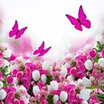 Profile Picture of Lakshmi Madhavan (@lakshmi.madhavan.182) on Instagram