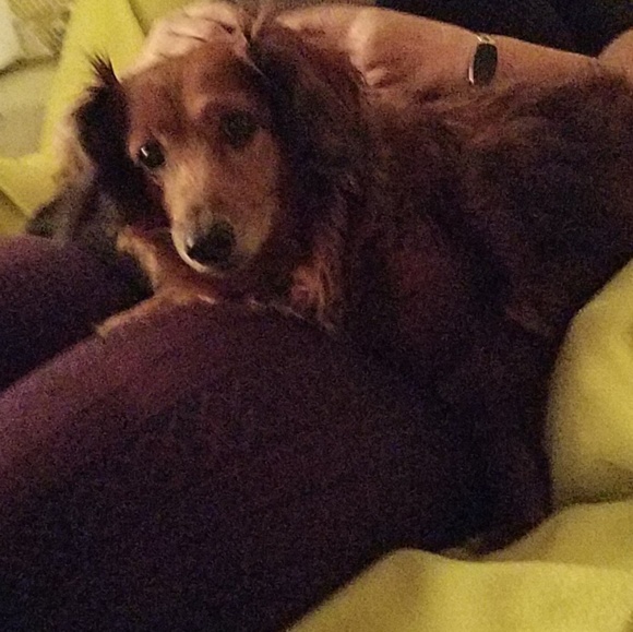 Profile Picture of Jessi Mitchell (@jes7559) on Poshmark