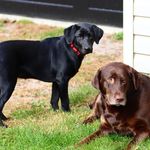 Profile Picture of Shawn Stickles (@shawnstickles) on Instagram