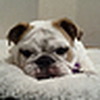 Profile Picture of Cindy Scott (@jurisnurse2012) on Flickr