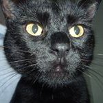 Profile Picture of Vicky Ouellette (@ouellette.vicky) on Instagram