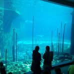 Profile Picture of Markus Hanauer (@markus.hanauer.56) on Facebook