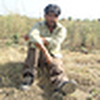 Profile Picture of suresh kumar (@surya teja2010) on Flickr