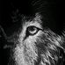 Profile Picture of Andrew Bunting (@andrew.bunting.716) on Facebook