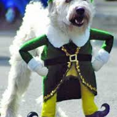 Profile Picture of Joan Higgins (@jezebelleboutiq) on Twitter