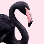 Profile Picture of Chris Burroughs (@chris.burroughs3) on Instagram