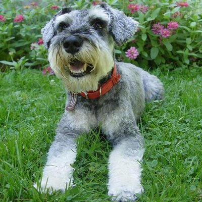 Profile Picture of David Krakow (@DaveKrakow) on Twitter