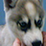 Profile Picture of Terence (Terry) hackett (@sfc_hackett) on Flickr