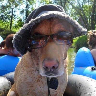 Profile Picture of Adam Roloff (@420roloff) on Twitter