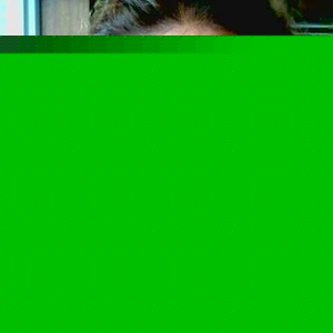 Profile Picture of Krystal Digasparro (@krystal_dig) on Myspace