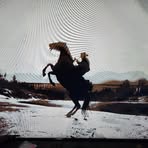 Profile Picture of David Wonoski (@david.wonoski.37) on Facebook