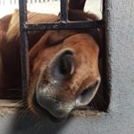 Profile Picture of Paul MacIntyre (@paulmacintyrephotography) on Instagram