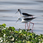 Profile Picture of Prerana Phadnis (@preranaphadnis) on Flickr