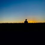 Jimmy Lyall - Instagram Profile Picture of Jimmy Lyall (@lyall_jimmy) on Instagram