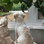 Profile Picture of David Fagen (@david.fagen.7) on Instagram