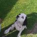 Profile Picture of Jeff Farrell (@jeff.farrell.9066) on Facebook