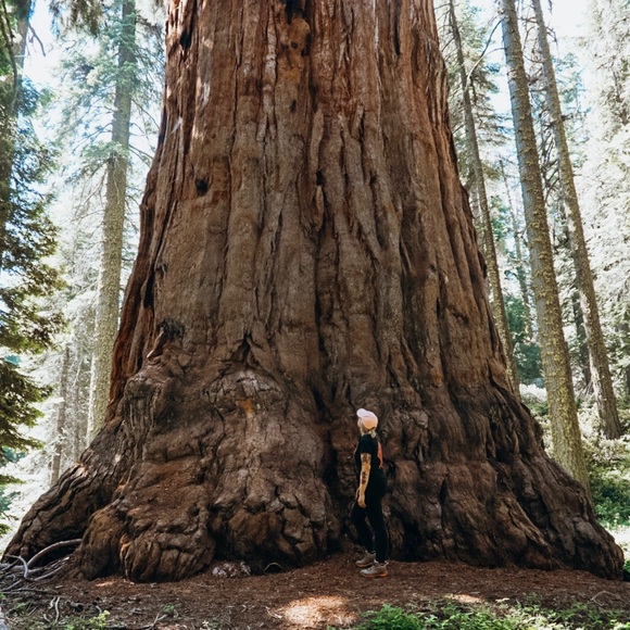 Profile Picture of April Brunk (@rosewaterpssy) on Poshmark