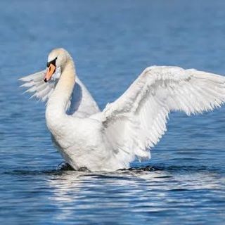 Profile Picture of Gary Garcia (@Gary-Garcia) on Facebook