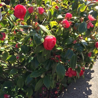 Profile Picture of Sarah James (@SarahJa28484793) on Twitter