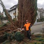 Profile Picture of Daniel Bianchin (@forstservicebianchin) on Instagram