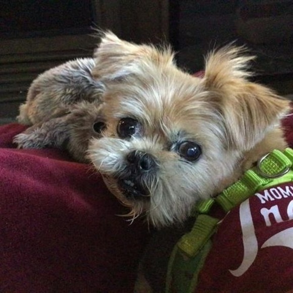 Profile Picture of Steve Lilienthal (@poppypop53) on Poshmark