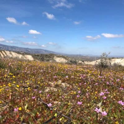 Profile Picture of Old Fashioned (@Mi2CaMatt) on Twitter