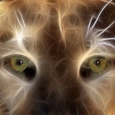 Profile Picture of Jerry R Grover (@jerrygrover) on Twitter