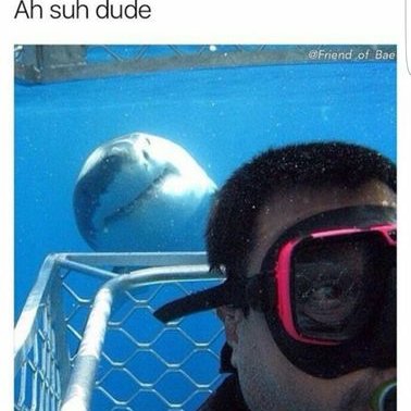 Profile Picture of Lucas Pickard (@Deadshot_Craze) on Twitter