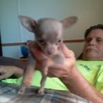 Profile Picture of Dwayne Taylor (@taylor_dwayne) on Instagram