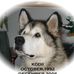 Profile Picture of Brian Bubar (@brian.bubar.9) on Facebook