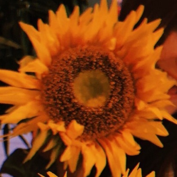 Profile Picture of Jen Hose (@jennhose) on Poshmark