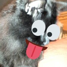 Profile Picture of Chris (@BlackcatSparta) on Twitter