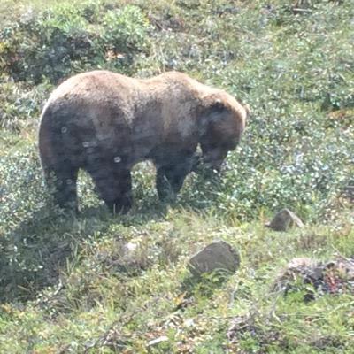 Profile Picture of Thomas Wickett (@WickettThomas) on Twitter