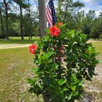 Profile Picture of Doral Heathcock (@doral.heathcock) on Facebook