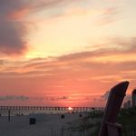 Profile Picture of Sheri Potter (@sheri.potter.65) on Instagram