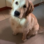 Profile Picture of Ari Essel (@ari.essel) on Instagram