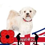 Profile Picture of Lorna Hale (@lorna.hale.58) on Instagram